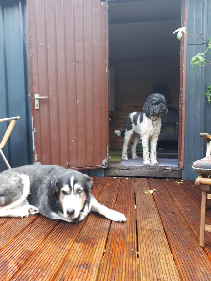 Aeltestes Haus In Quentel - Ferienwohnung 2 Mit Dachterrasse Hessisch Lichtenau Bagian luar foto